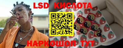 дурь Славгород