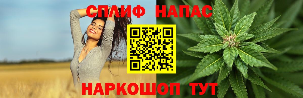 Каннабис AK-47  Бошки марихуана планчик  Вход с VPN  Шишки марихуана марихуана  Нурлат 